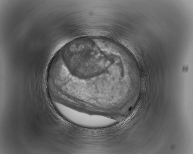 X0000098021071200804251132