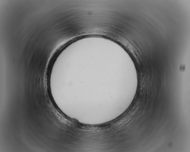 X0000098021072200804251132