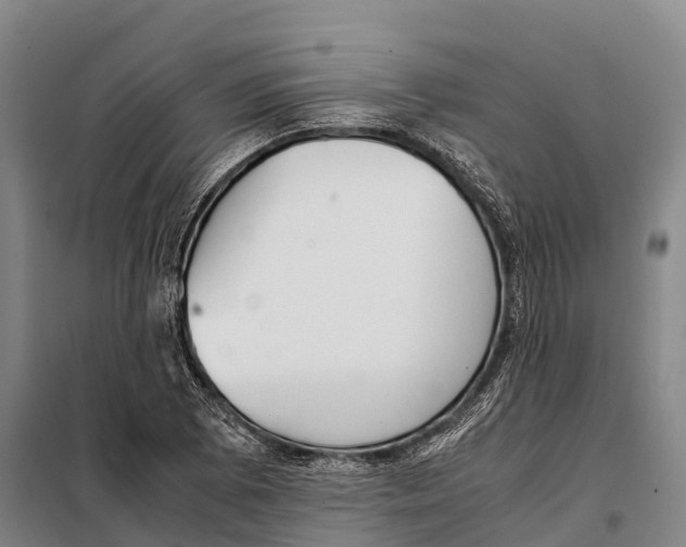 X0000098021073200804251132