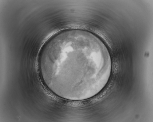X0000098021074200804251132