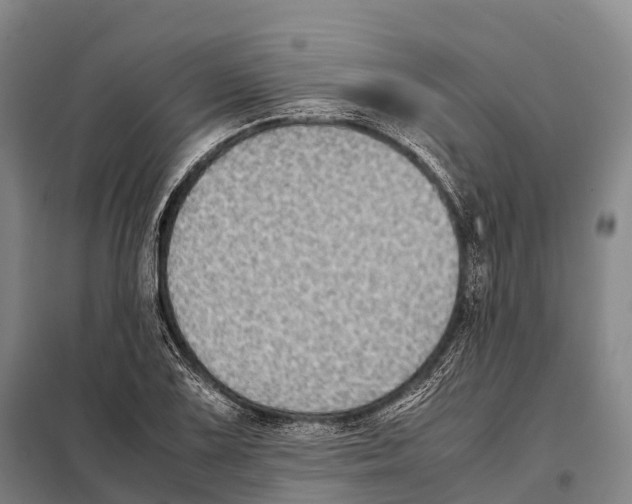 X0000098021075200804251132