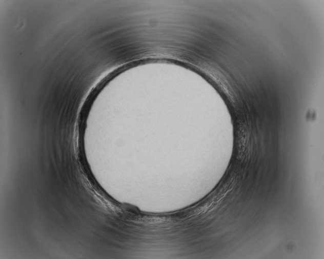 X0000098021076200804251132