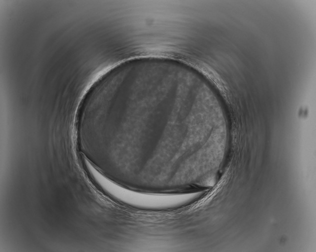 X0000098021077200804251132