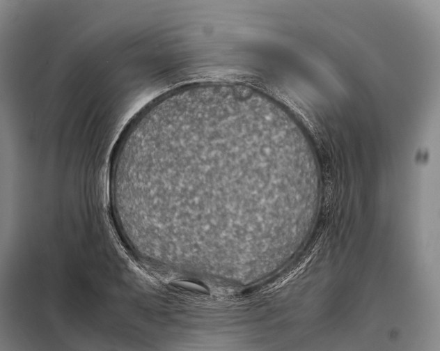 X0000098021079200804251132
