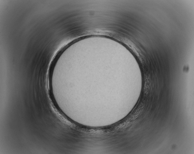 X0000098021080200804251132