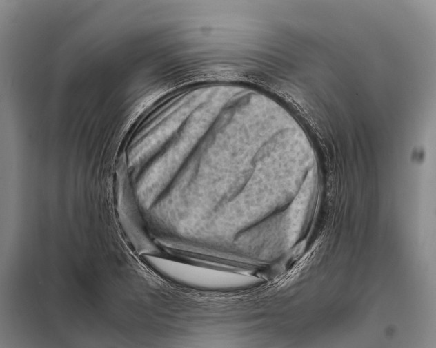 X0000098021081200804251132