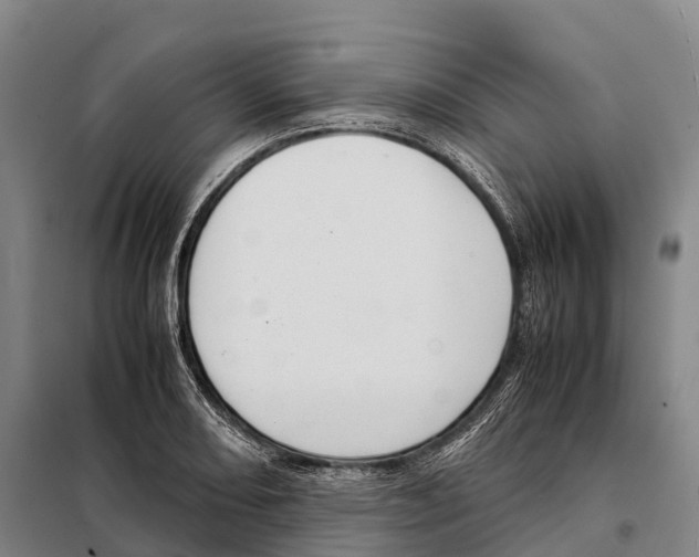 X0000098021082200804251132