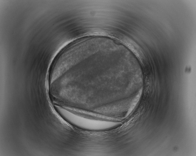 X0000098021084200804251132