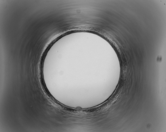 X0000098021085200804251132