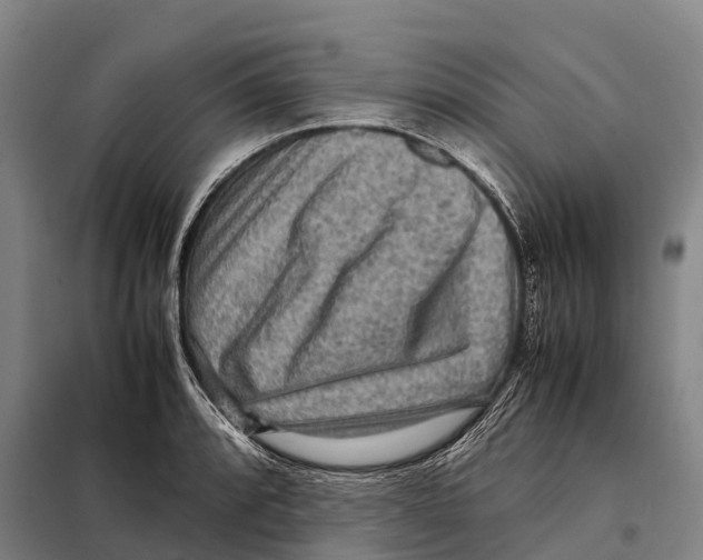 X0000098021088200804251132