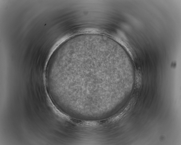 X0000098021090200804251132