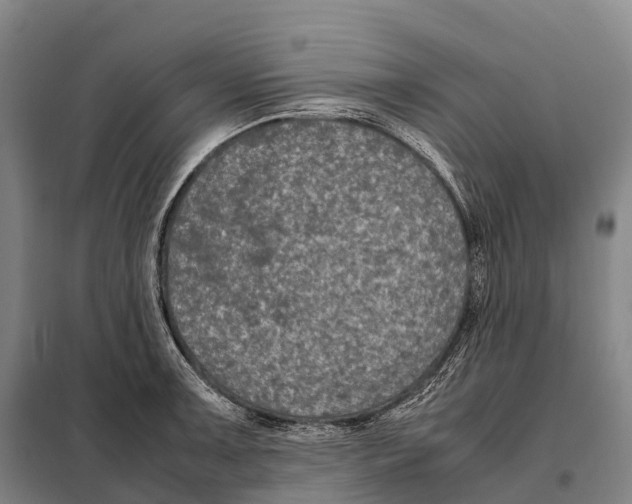 X0000098021091200804251132