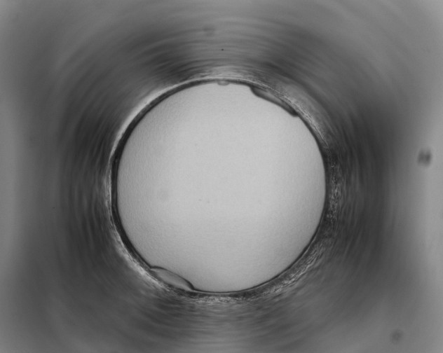 X0000098021092200804251132