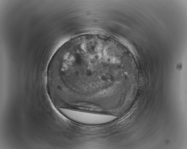 X0000098021095200804251131