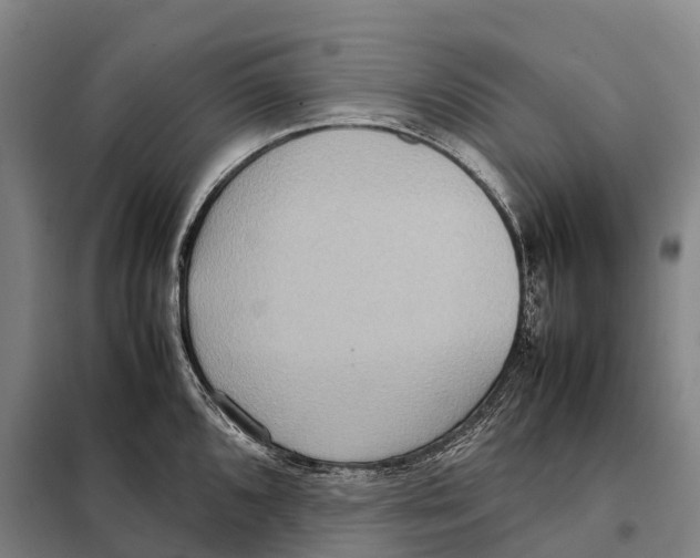 X0000098021096200804251131