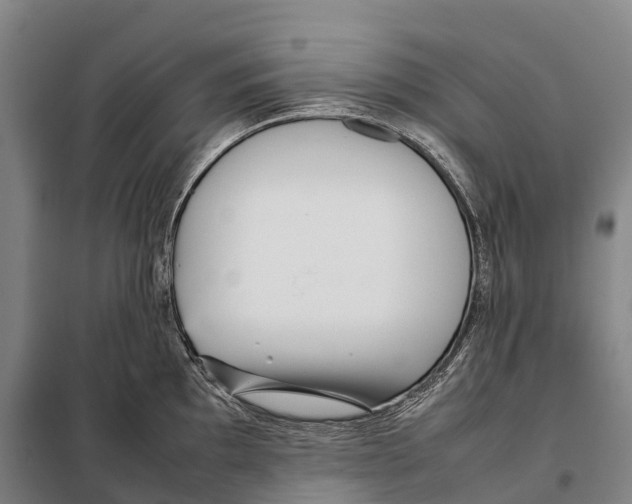 X0000098021097200804251131