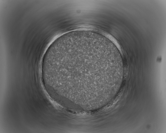X0000098021099200804251131