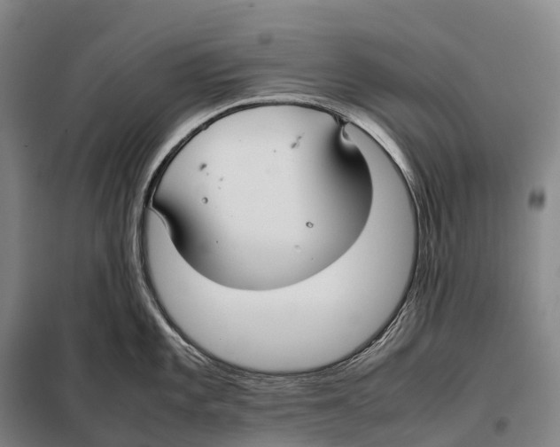X0000098021101200804251131