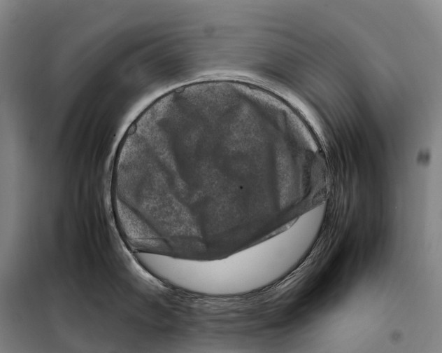 X0000098021102200804251131