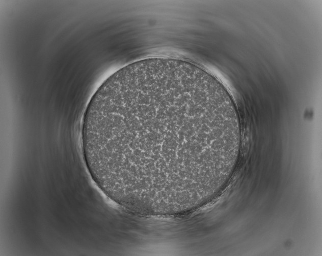 X0000098021103200804251131