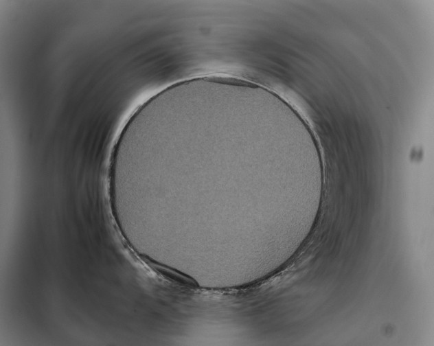 X0000098021104200804251131