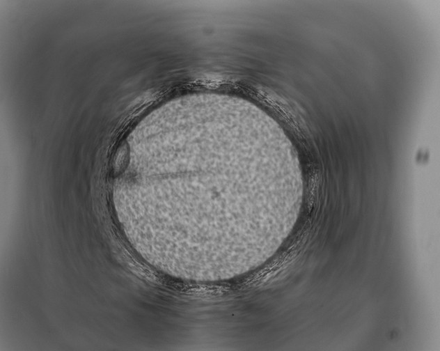 X0000098021105200804251131