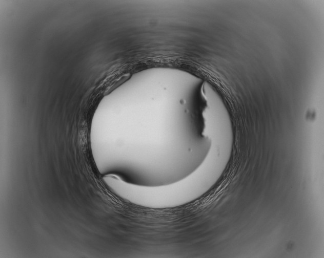 X0000098021107200804251131
