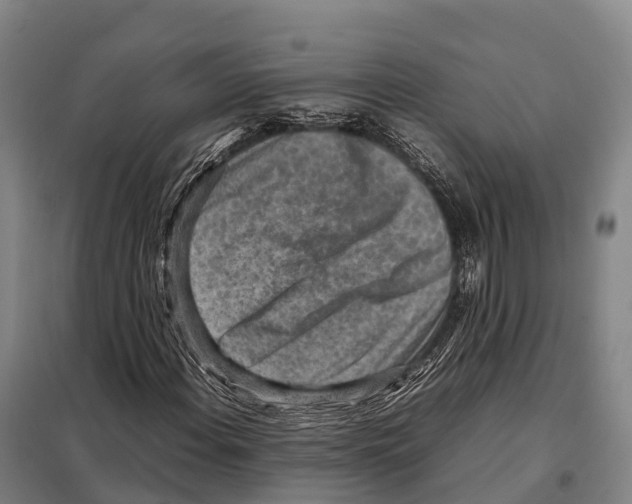 X0000098021108200804251131