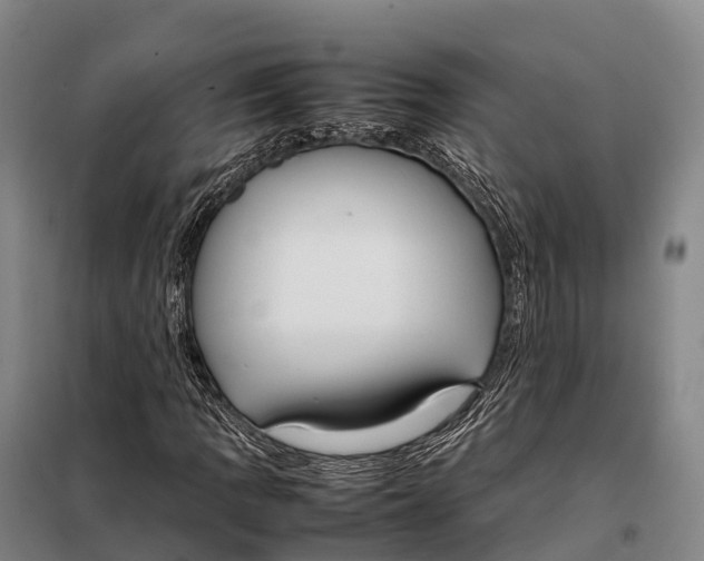 X0000098021109200804251131