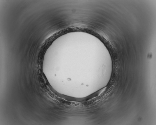 X0000098021112200804251131