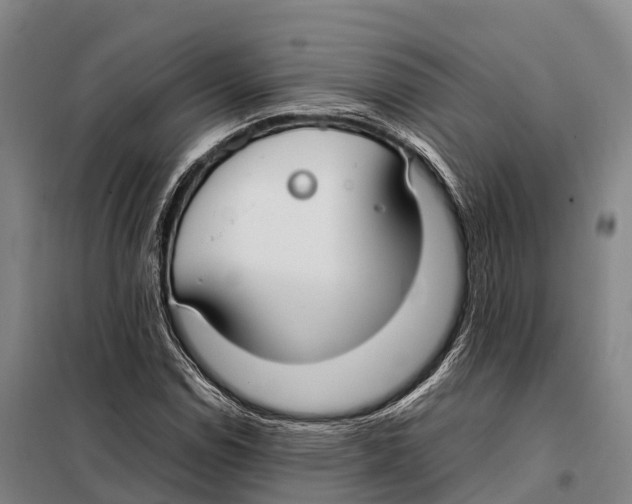 X0000098021114200804251131