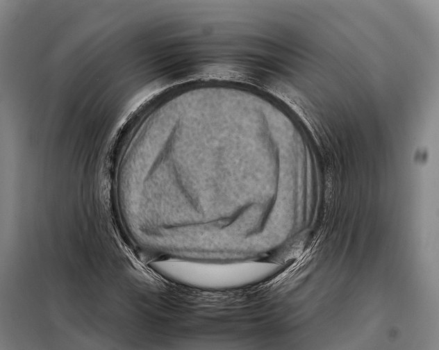 X0000098021115200804251131