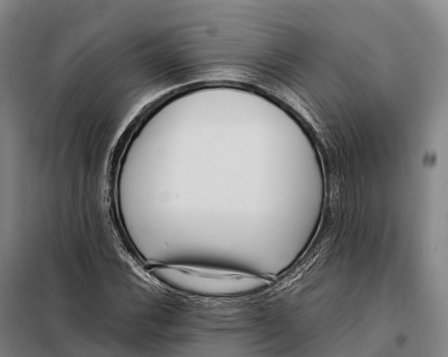 X0000098021116200804251131