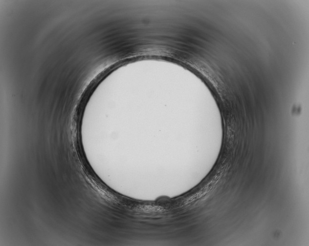 X0000098021119200804251131