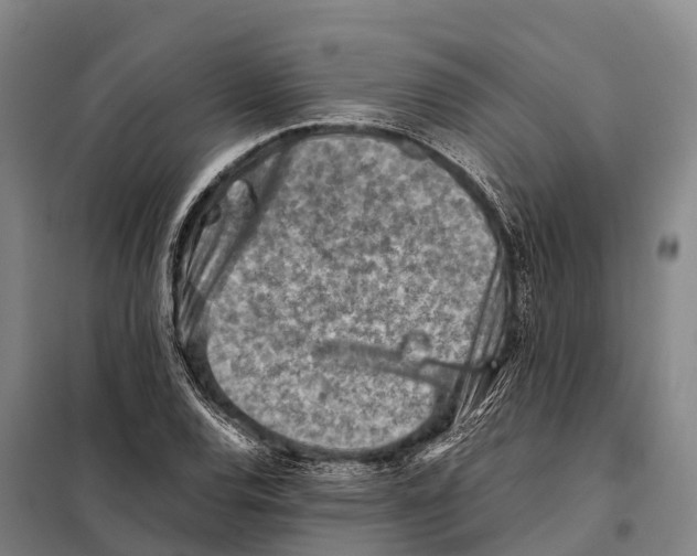 X0000098021120200804251131