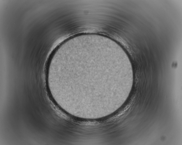 X0000098021122200804251131