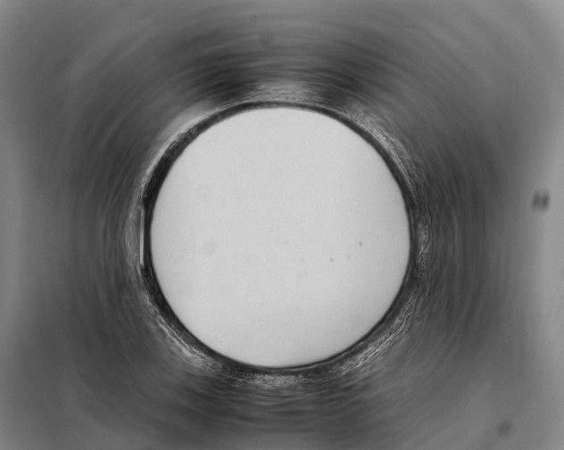 X0000098021123200804251131