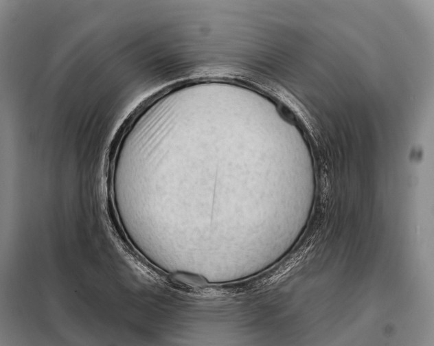 X0000098021124200804251131