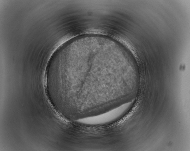 X0000098021125200804251131
