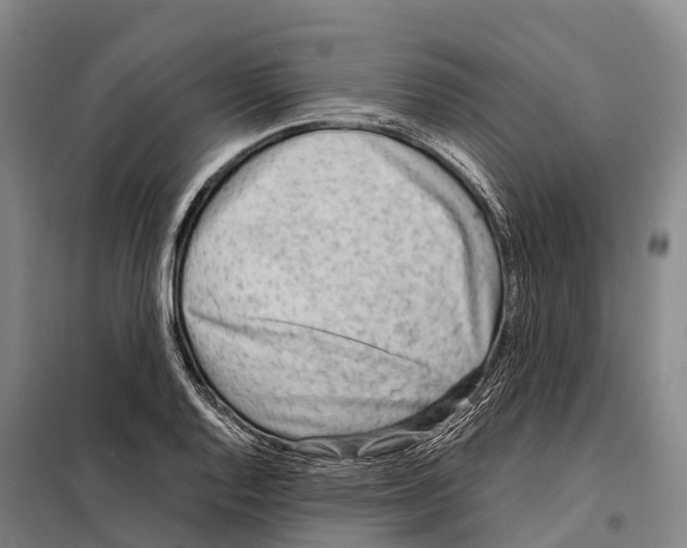X0000098021128200804251131