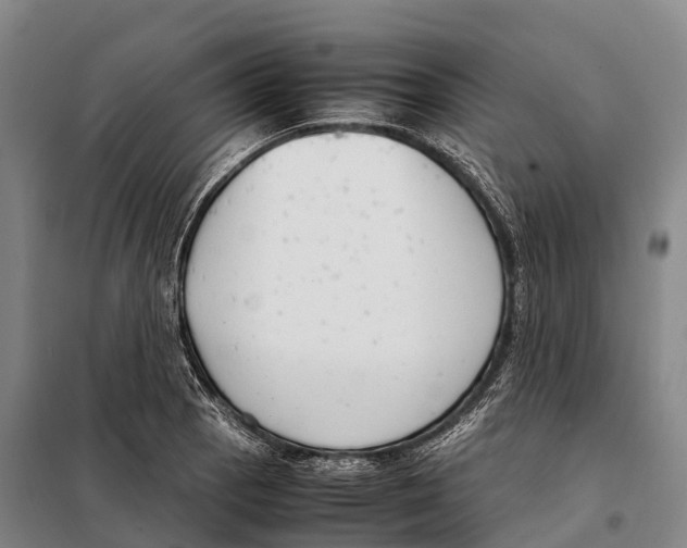 X0000098021129200804251131