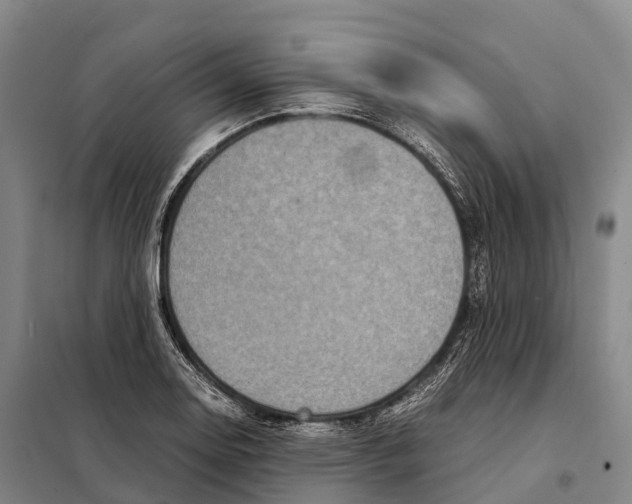 X0000098021130200804251131
