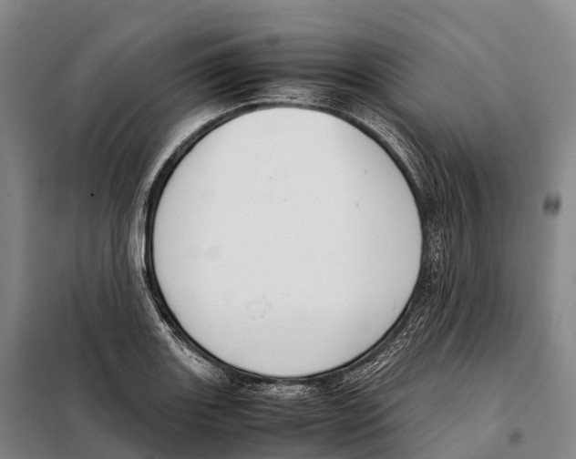 X0000098021131200804251131