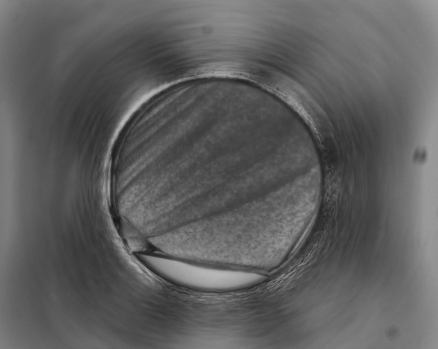 X0000098021132200804251131