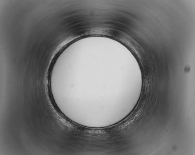 X0000098021133200804251131