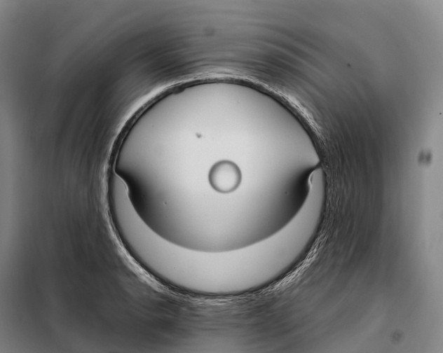 X0000098021134200804251131