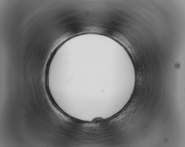 X0000098021135200804251131