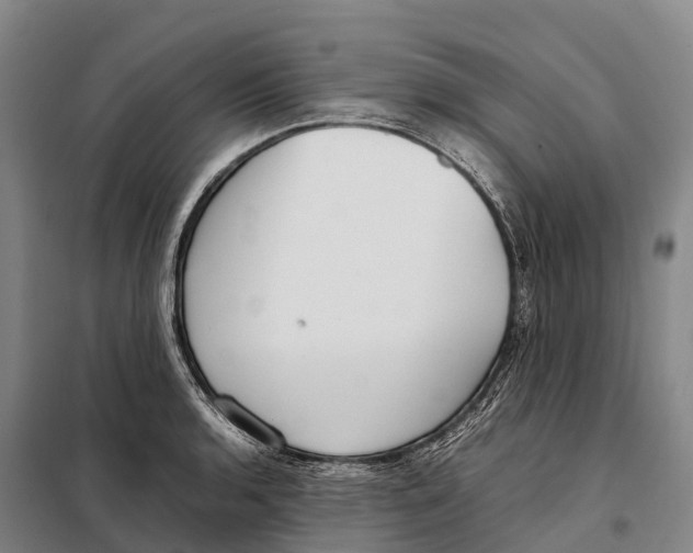 X0000098021136200804251131