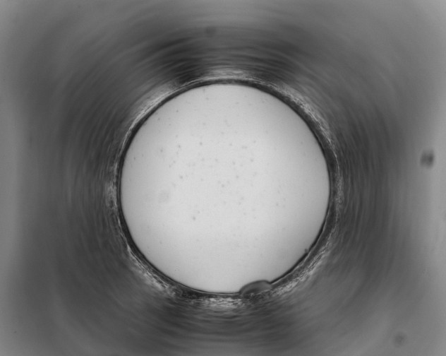 X0000098021137200804251131