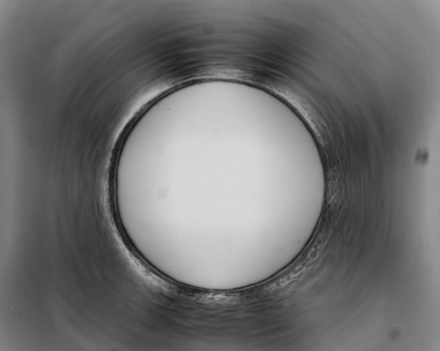 X0000098021139200804251131